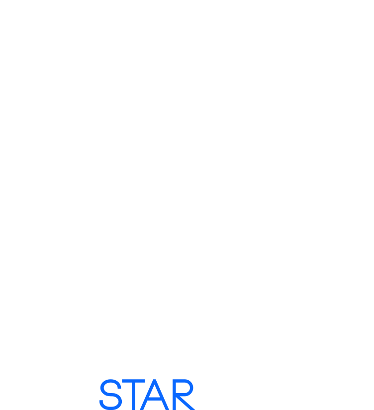 Bluestar Royalty Logo